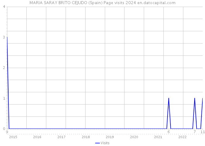 MARIA SARAY BRITO CEJUDO (Spain) Page visits 2024 