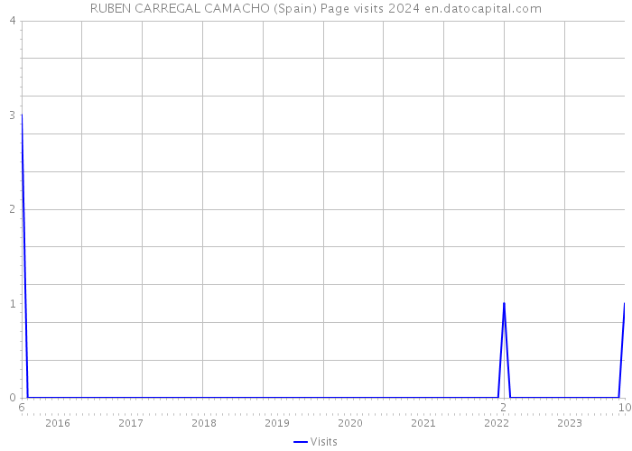 RUBEN CARREGAL CAMACHO (Spain) Page visits 2024 