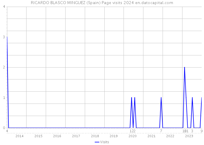 RICARDO BLASCO MINGUEZ (Spain) Page visits 2024 