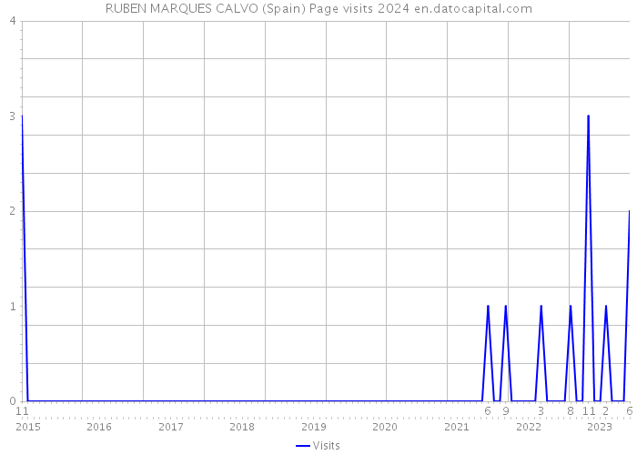 RUBEN MARQUES CALVO (Spain) Page visits 2024 