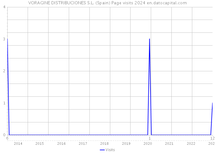 VORAGINE DISTRIBUCIONES S.L. (Spain) Page visits 2024 