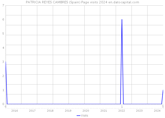 PATRICIA REYES CAMBRES (Spain) Page visits 2024 