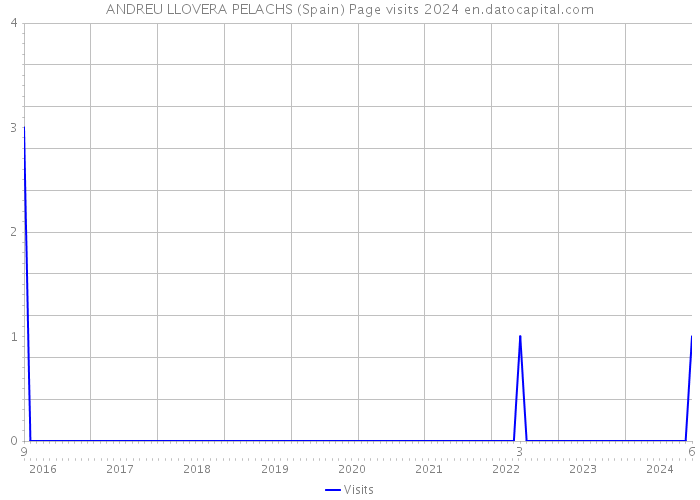 ANDREU LLOVERA PELACHS (Spain) Page visits 2024 
