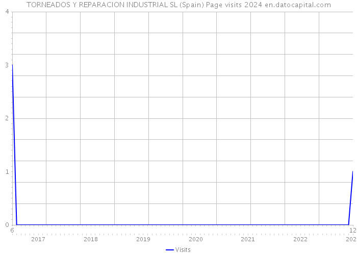 TORNEADOS Y REPARACION INDUSTRIAL SL (Spain) Page visits 2024 