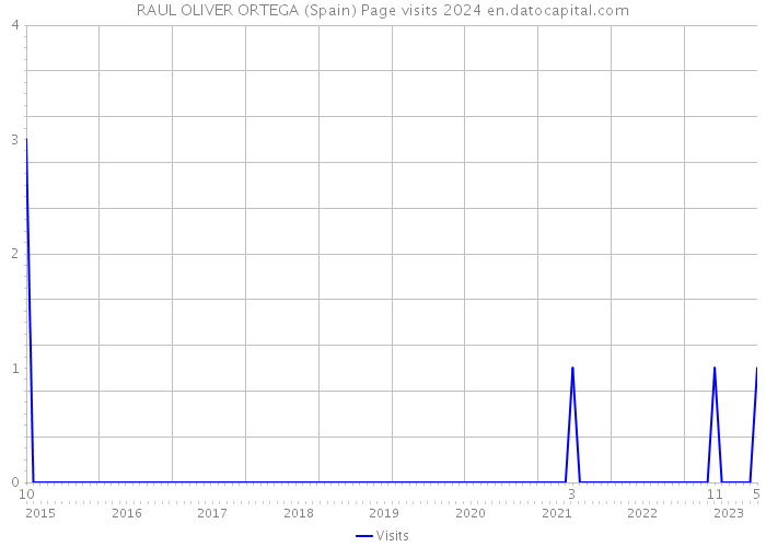 RAUL OLIVER ORTEGA (Spain) Page visits 2024 