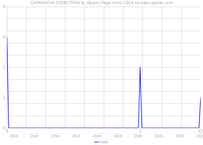 CAPADOCIA CONECTION SL (Spain) Page visits 2024 