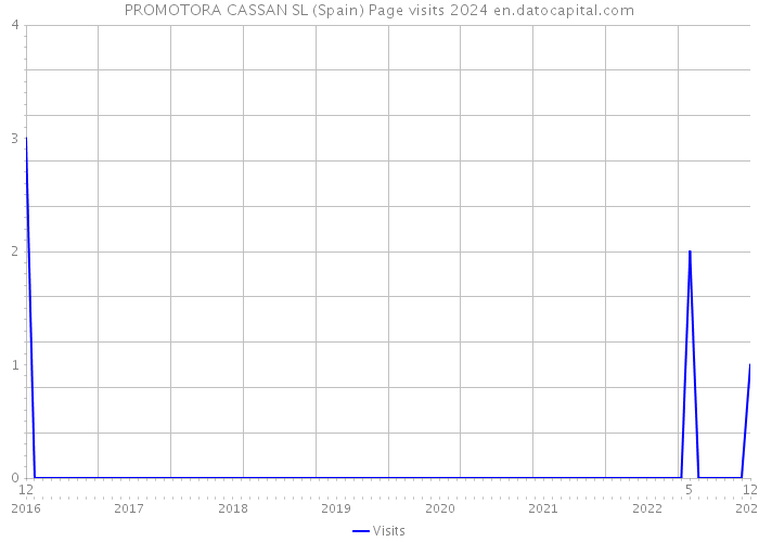 PROMOTORA CASSAN SL (Spain) Page visits 2024 