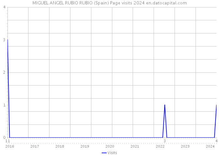 MIGUEL ANGEL RUBIO RUBIO (Spain) Page visits 2024 