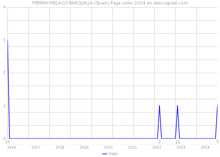 FERMIN PIELAGO BARQUILLA (Spain) Page visits 2024 