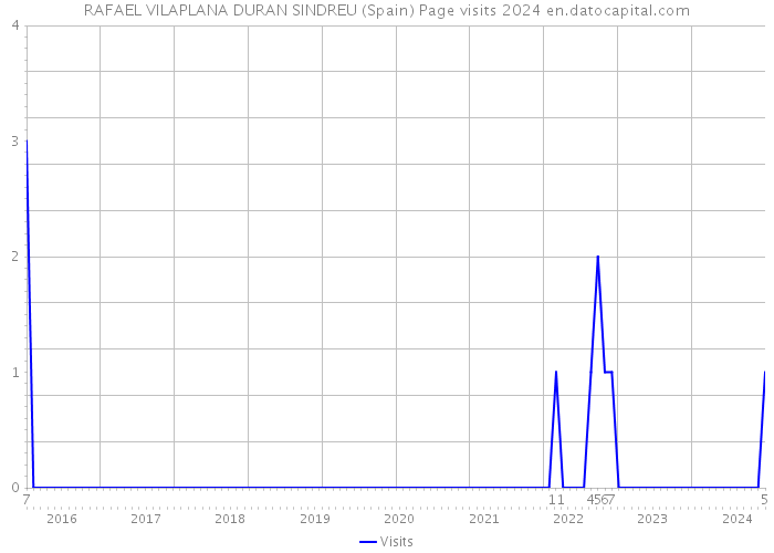 RAFAEL VILAPLANA DURAN SINDREU (Spain) Page visits 2024 