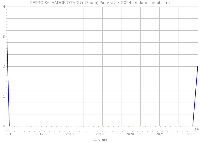 PEDRO SALVADOR OTADUY (Spain) Page visits 2024 