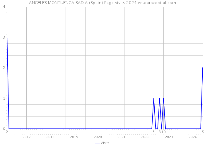 ANGELES MONTUENGA BADIA (Spain) Page visits 2024 