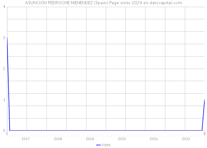 ASUNCION PEDROCHE MENENDEZ (Spain) Page visits 2024 