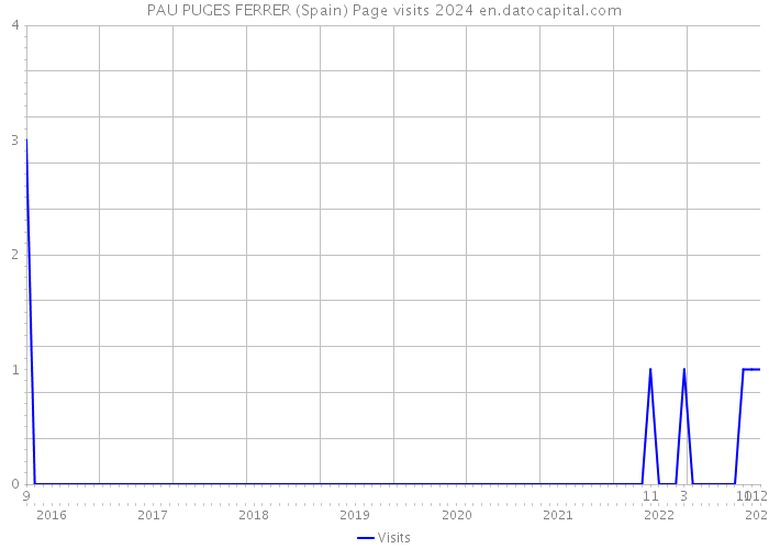 PAU PUGES FERRER (Spain) Page visits 2024 