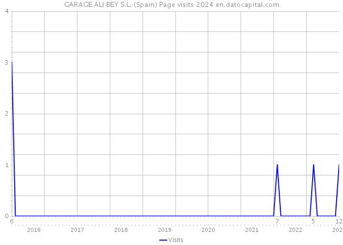 GARAGE ALI BEY S.L. (Spain) Page visits 2024 