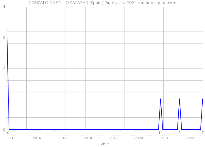 GONZALO CASTILLO SALAZAR (Spain) Page visits 2024 