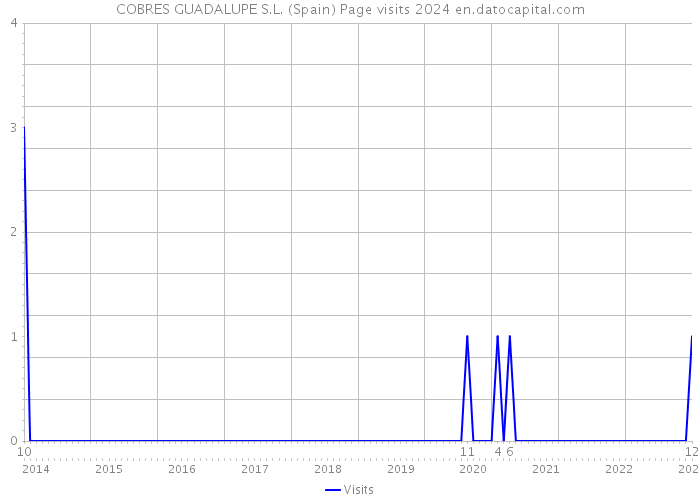 COBRES GUADALUPE S.L. (Spain) Page visits 2024 