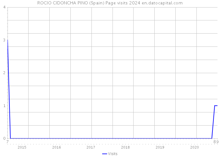 ROCIO CIDONCHA PINO (Spain) Page visits 2024 