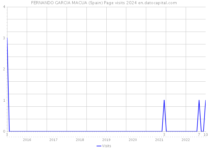 FERNANDO GARCIA MACUA (Spain) Page visits 2024 