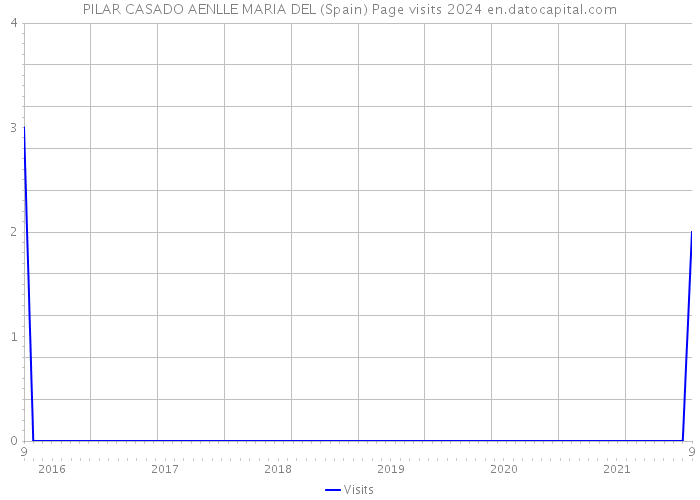 PILAR CASADO AENLLE MARIA DEL (Spain) Page visits 2024 