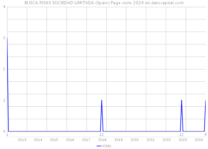 BUSCA RISAS SOCIEDAD LIMITADA (Spain) Page visits 2024 