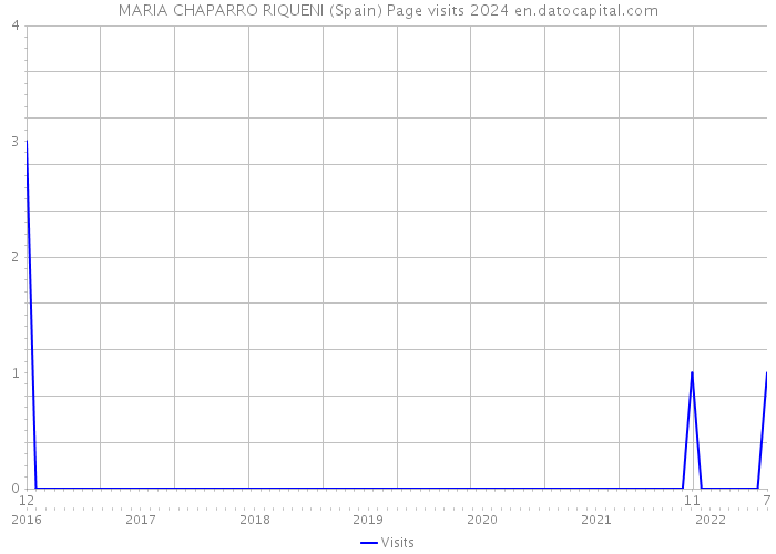 MARIA CHAPARRO RIQUENI (Spain) Page visits 2024 