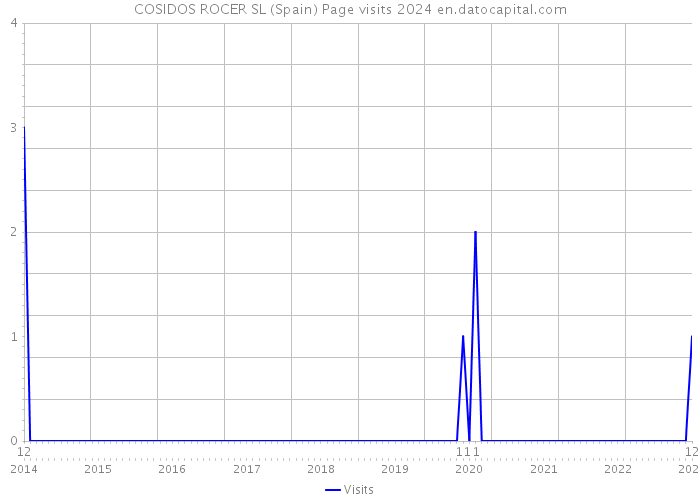 COSIDOS ROCER SL (Spain) Page visits 2024 