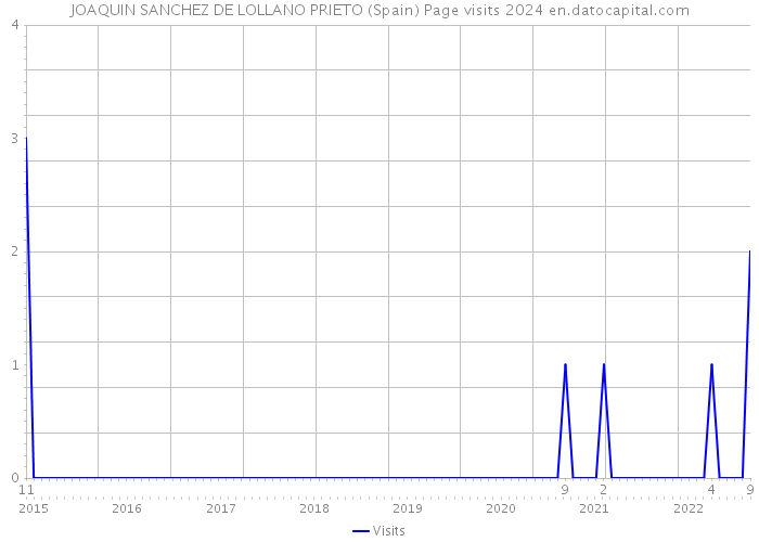 JOAQUIN SANCHEZ DE LOLLANO PRIETO (Spain) Page visits 2024 