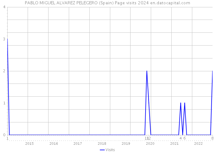 PABLO MIGUEL ALVAREZ PELEGERO (Spain) Page visits 2024 