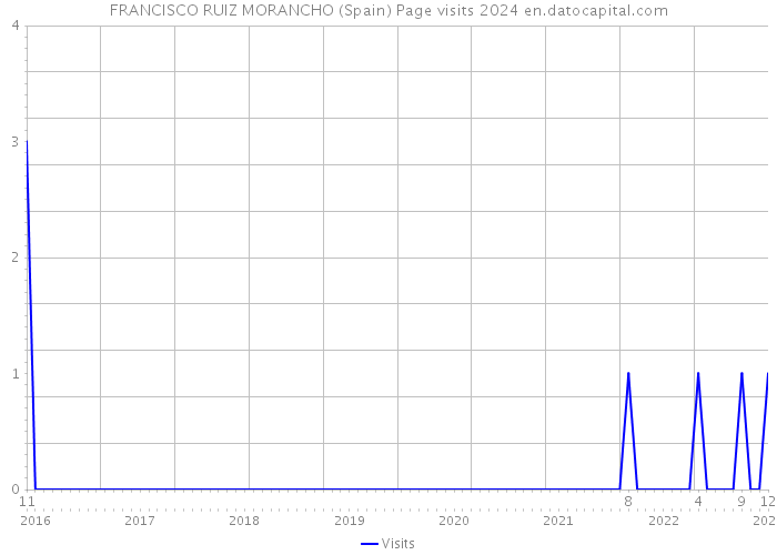 FRANCISCO RUIZ MORANCHO (Spain) Page visits 2024 