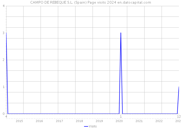 CAMPO DE REBEQUE S.L. (Spain) Page visits 2024 