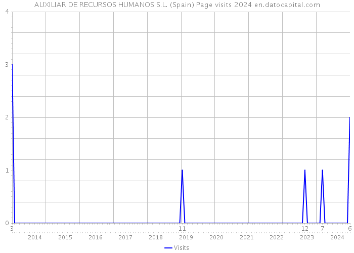 AUXILIAR DE RECURSOS HUMANOS S.L. (Spain) Page visits 2024 