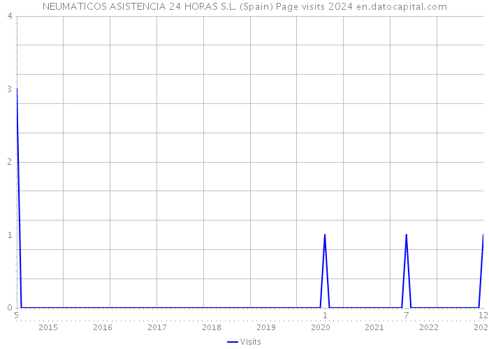 NEUMATICOS ASISTENCIA 24 HORAS S.L. (Spain) Page visits 2024 