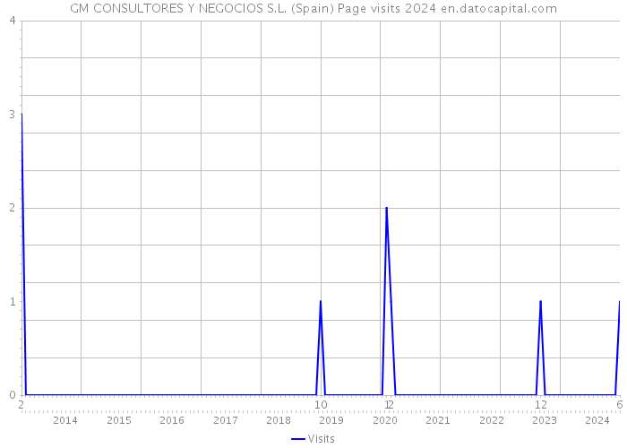 GM CONSULTORES Y NEGOCIOS S.L. (Spain) Page visits 2024 