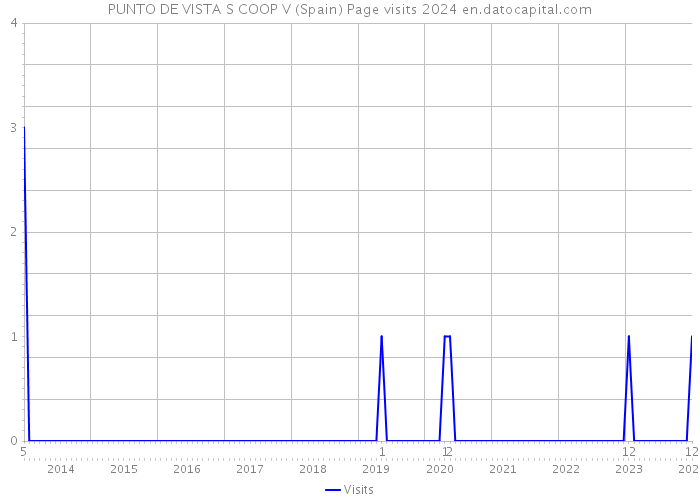 PUNTO DE VISTA S COOP V (Spain) Page visits 2024 