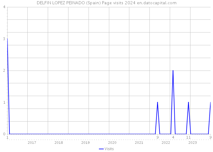 DELFIN LOPEZ PEINADO (Spain) Page visits 2024 