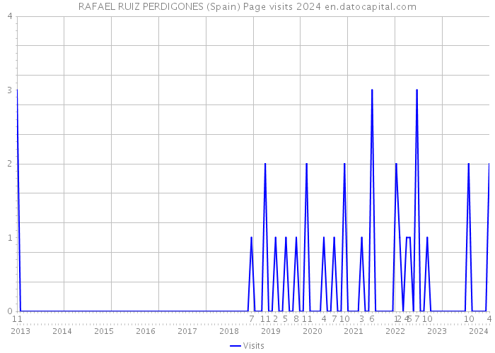 RAFAEL RUIZ PERDIGONES (Spain) Page visits 2024 