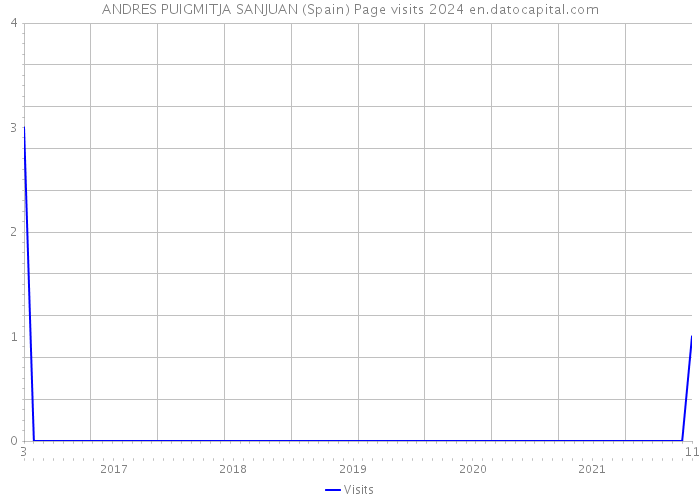 ANDRES PUIGMITJA SANJUAN (Spain) Page visits 2024 