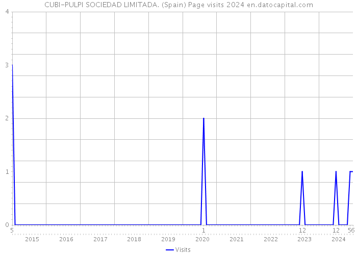 CUBI-PULPI SOCIEDAD LIMITADA. (Spain) Page visits 2024 