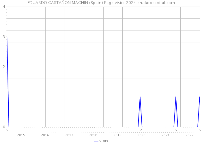 EDUARDO CASTAÑON MACHIN (Spain) Page visits 2024 