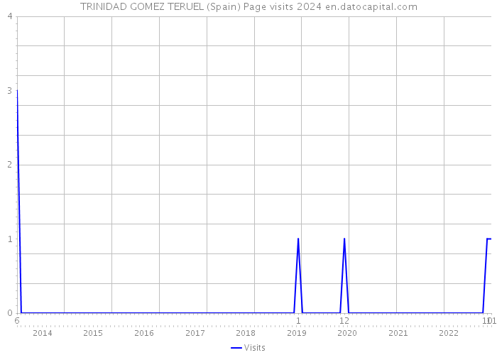 TRINIDAD GOMEZ TERUEL (Spain) Page visits 2024 