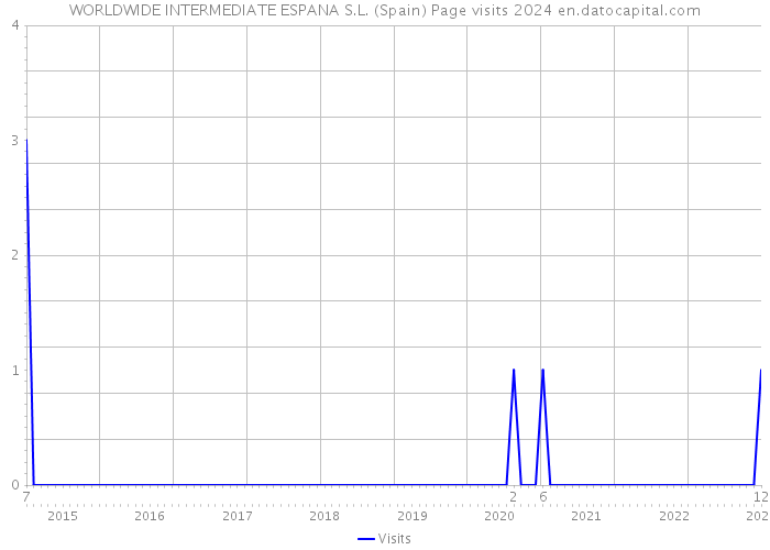 WORLDWIDE INTERMEDIATE ESPANA S.L. (Spain) Page visits 2024 