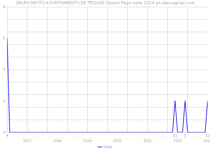 GRUPO MIXTO AYUNTAMIENTO DE TEGUISE (Spain) Page visits 2024 