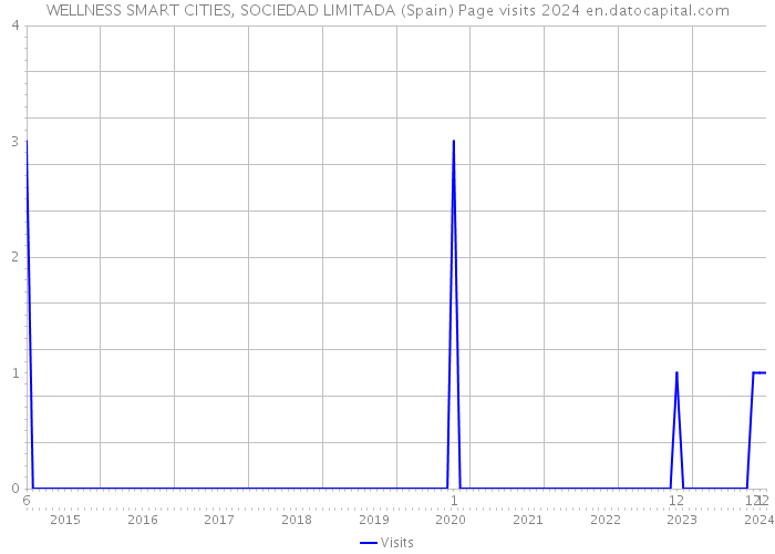 WELLNESS SMART CITIES, SOCIEDAD LIMITADA (Spain) Page visits 2024 