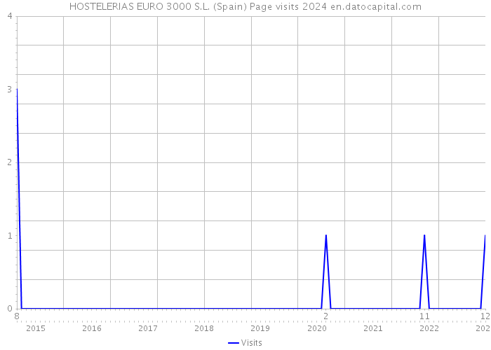 HOSTELERIAS EURO 3000 S.L. (Spain) Page visits 2024 