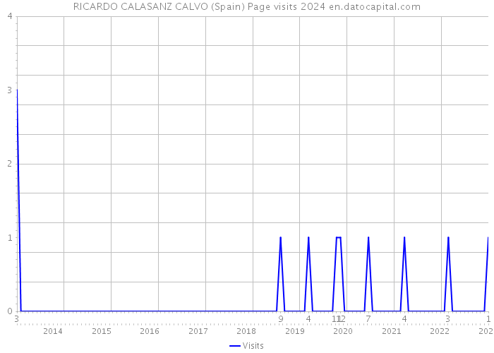 RICARDO CALASANZ CALVO (Spain) Page visits 2024 