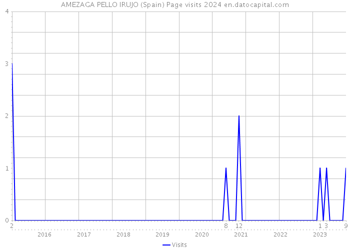 AMEZAGA PELLO IRUJO (Spain) Page visits 2024 