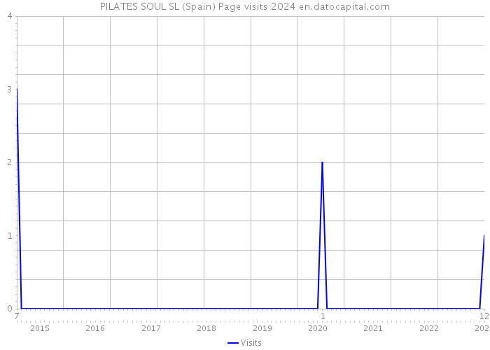 PILATES SOUL SL (Spain) Page visits 2024 