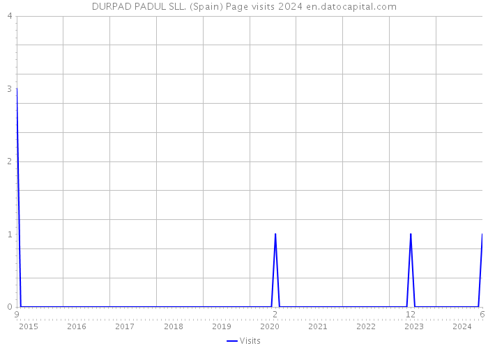 DURPAD PADUL SLL. (Spain) Page visits 2024 