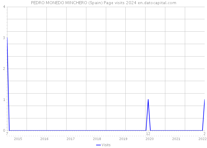 PEDRO MONEDO MINCHERO (Spain) Page visits 2024 